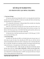 Chiến lược marketing của công ty cổ phần Bình Vinh.doc