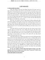 Thực trạng hoạt động kinh doanh tín dụng và rủi ro tín dụng ở các Ngân hàng Thương mại Cổ phần Việt nam.DOC