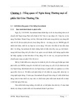 Tổng quan về Ngân hàng Thương mại cổ phần Sài Gòn Thương Tín.doc