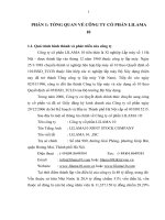 TỔNG QUAN VỀ CÔNG TY CỔ PHẦN LILAMA 10.DOC