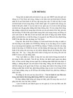 Vai trò kinh tế của Nhà nước trong nền kinh tế thị trường định hướng XHCN ở nước ta hiện nay.DOC