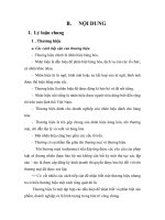 Thực trạng tranh chấp thương hiệu ở Việt Nam.doc