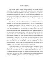 Phân tích tình hình doanh thu bán hàng ở Công ty TNHH Bông Mai.pdf