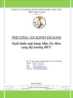 Phương án kinh doanh của công ty cổ phần tre việt.doc