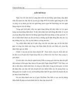 Hoàn thiện công tác thẩm định dự án đầu tư tại Sở giao dịch Ngân hàng Đầu tư và Phát triển Việt Nam- thực trạng và giải pháp.docx