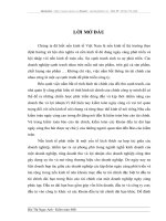 Hoàn thiện quy trình kiểm toán các khoản đầu tư tài chính dài hạn do Công ty AASC thực hiện.DOC