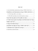 TỔNG QUAN VỀ CÔNG TY TNHH CƠ KHÍ VIỆT Á.DOC