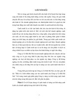 MỘT SỐ Ý KIẾN NHẰM NÂNG CAO KHẢ NĂNG CẠNH TRANH CỦA CÔNG TY CƠ KHÍ HÀ NỘI.doc.DOC