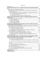 Phân phối chung với các sản phẩm bổ sung-một mô hình phân phối hiệu quả.doc.DOC