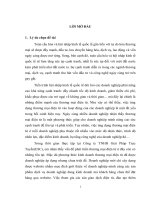 Phát triển TMĐT tại Công ty TNHH Giải Pháp Trực Tuyến.doc