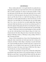 Thực trạng đầu tư nâng cao chất lượng sản phẩm của công ty TNHH Nam Cường.DOC