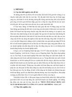 Phân tích hoạt động sản xuất kinh doanh của công ty cao su chưprông - gia lai.doc