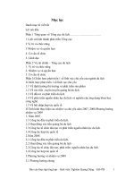 Chiến lược phát triển 1 số lĩnh vực chủ yếu của ngành du lịch giai đoạn 2001 – 2010.DOC