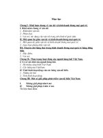 Một số giải pháp phát triển vận tải biển Việt Nam.doc