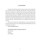 NỘI DUNG CỦA QUY LUẬT GIÁ TRỊ.doc.DOC