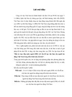 Đầu tư trực tiếp nước ngoài (FDI) với vấn đề tạo việc làm cho người lao động Việt Nam trong tiến trình toàn cầu hóa.DOC