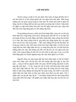 Giải pháp chống thất thu thuế nhập khẩu trong điều kiện hội nhập.doc