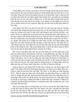 Đánh giá hiệu quả dự án đầu tư viễn thông.doc