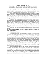 BÁO CÁO TỔNG HỢP HOẠT ĐỘNG CỦA CÔNG TY XUẤT NHẬP KHẨU TỔNG HỢP I .DOC