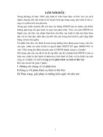 Thực trạng và giải pháp về Công ty Cổ phần Dịch vụ Giải trí Hà Nội.doc