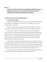 Sự thành công trong chiến lược sản phẩm của unilever-sản phẩm clear.doc