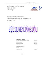 kinh tế công độc quyền xăng dầu.doc
