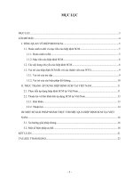 Hiep dinh SCM va thuc trang ap dung vap VN.doc