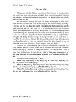 Một số biện pháp nhằm duy trì và mở rộng thị trường tiêu thụ sản phẩm tại Công ty cổ phần Dịch Hồng Hà Nội.docx