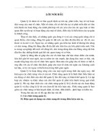 Hiệu quả sử dụng các chức năng đó trong điều kiện nước ta.DOC