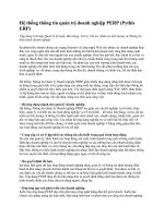 Hệ thống thông tin quản trị doanh nghiệp PERP.doc