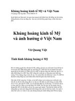 Khủng hoảng kinh tế Mỹ và Việt Nam.doc