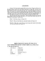 Phân tích sự ảnh hưởng của môi trường kinh doanh tới tình hình sản xuất kinh doanh của Công ty 26.DOC