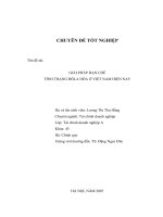 Giải pháp hạn chế tình trạng đôla hóa ở Việt Nam hiện nay.doc