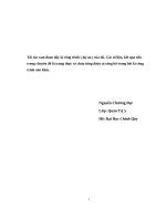 Nâng cao chất lượng hoạt động môi giới tại CTCPCK Hoàng Gia.doc