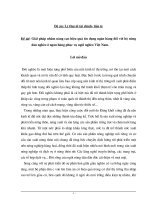 Giải pháp nâng cao hiệu quả tín dụng ở ngân hàng người nghèo Việt Nam.doc