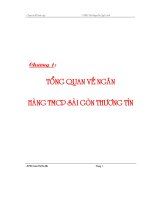 Giới thiệu tổng quan về ngan hàng thương mại cổ phẩn SG thương tín.doc