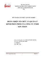 Hoàn thiện tổ chức và quản lý kênh phân phối sản phẩm của Công ty Sơn TISON 2011.doc