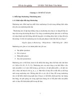 Xây dựng chiến lược xúc tiến cho dòng sản phẩm Dumex Gold trong 6 tháng cuối năm 2010.pdf