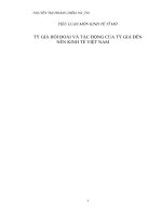 Tỷ giá và tác động của tỷ giá đến nền kinh tế Việt Nam.docx