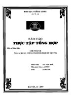 Báo cáo thực tập tại Chi nhánh ngân hàng Công Thuơng Hai Bà Trưng.PDF