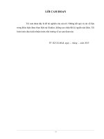 TÌNH HÌNH HOẠT ĐỘNG KINH DOANH CỦA GIADICO.DOC