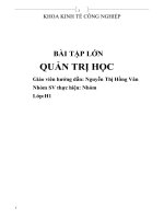 Hoàn thiện cơ cấu tổ chức bộ máy quản lý tại Công ty CP xây dựng sông hồng.doc