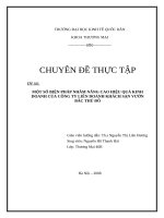 Một số biện pháp nâng cao hiệu quả kinh doanh của Công ty khách sạn Vườn Bắc Thủ Đô.docx