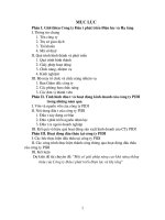 Hoạt động đấu thầu tại công ty PIDI.DOC