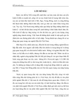 Một số giải pháp nhằm  huy động vốn đầu tư vào phát triển nghành Dầu khí ở Việt Nam.doc