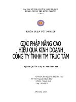 GIẢI PHÁP NÂNG CAO HIỆU QUẢ KINH DOANH CÔNG TY TNHH TM TRÚC TÂM.doc