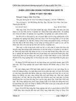 CHIẾN LƯỢC KINH DOANH THƯƠNG MẠI QUỐC TẾ.DOC