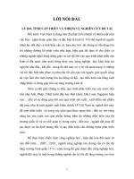 Giải pháp mở rộng thị trường xuất khẩu hàng dệt may.doc