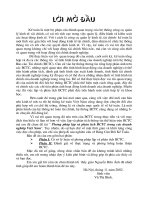 Phương pháp lập và phân tích BCTC trong các doanh nghiệp Việt Nam (2).DOC