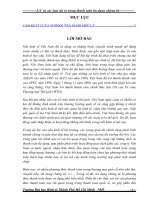 Phương thức thanh toán tín dụng chứng từ,và rủi ro trong thanh toán tín dụng chứng từ (2).doc